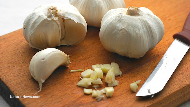 Aged garlic