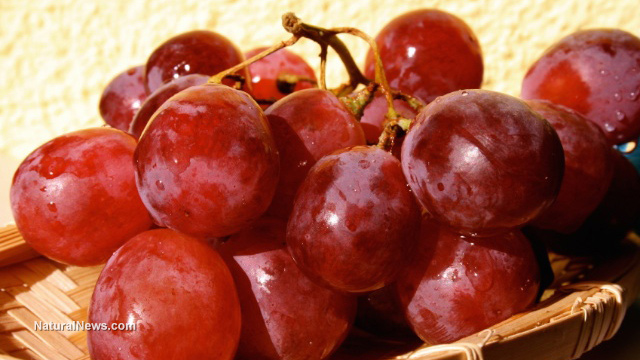 Grapes