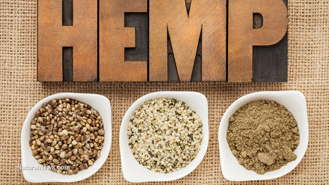 Hemp milk