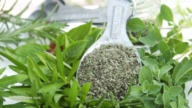 Immune-boosting herbs