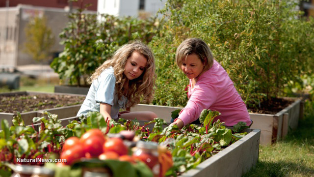 Home gardening