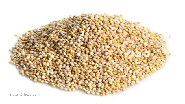 Quinoa