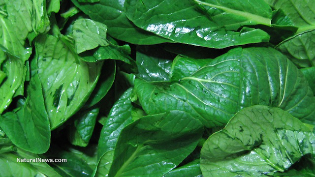 Pre-washed spinach