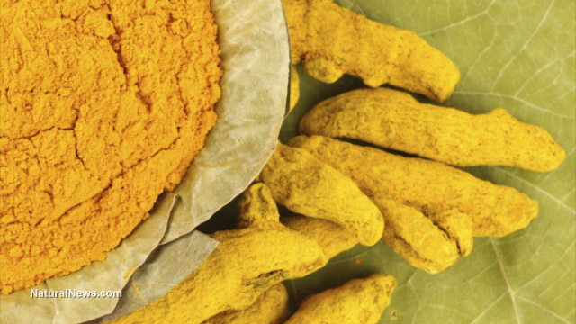 Turmeric