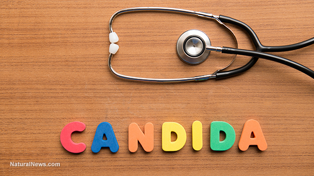 Candida