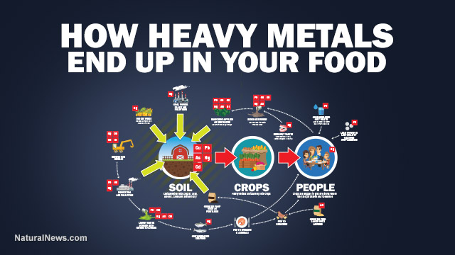 Heavy metals