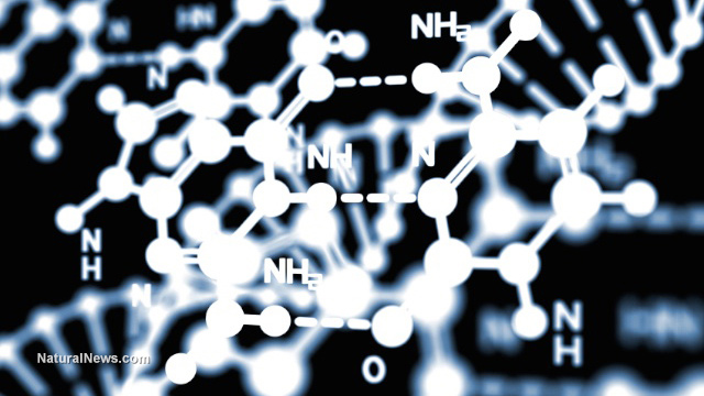 DNA database