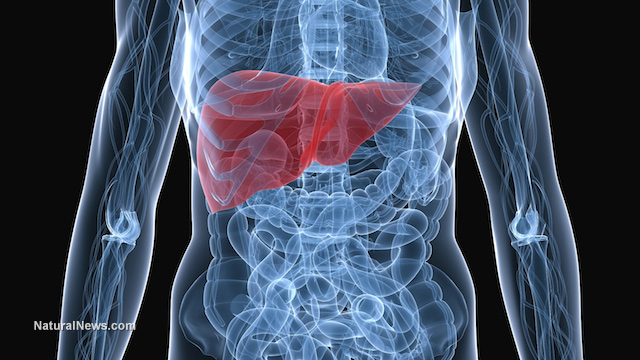 Liver disease