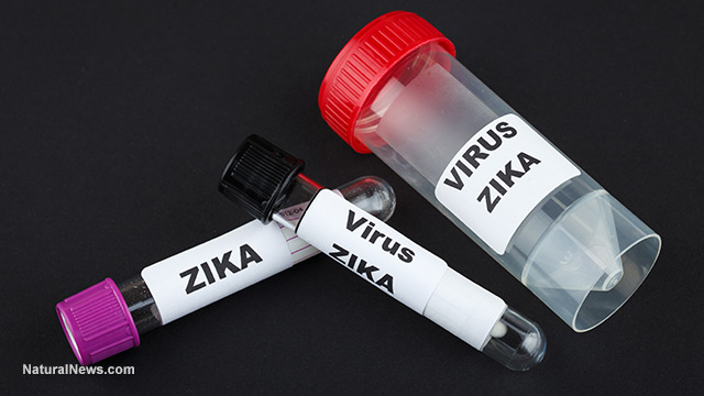 Zika hysteria
