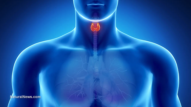 Thyroid cancer