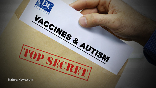 Autism vaccine link