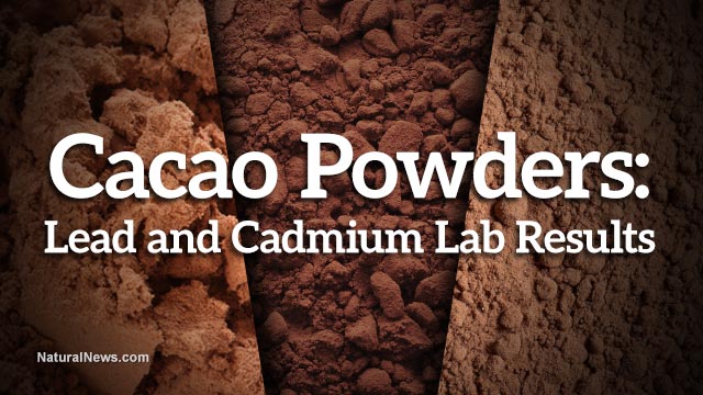 Cacao powder