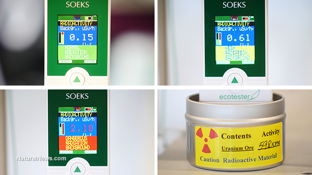 SOEKS radiation meter