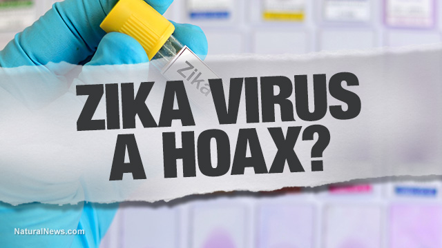 Zika virus hoax