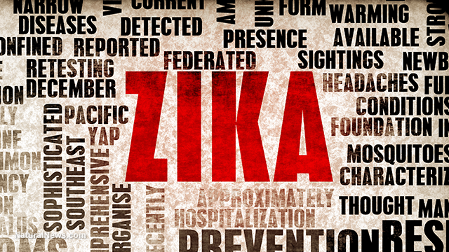 Zika virus