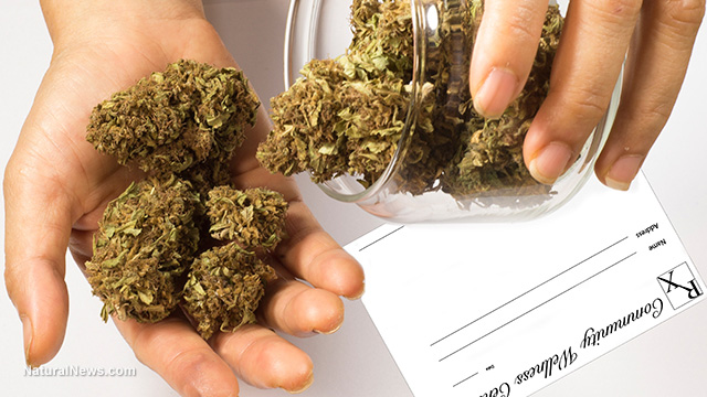 Cannabis legalization