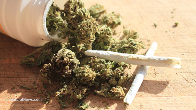 Medicinal marijuana