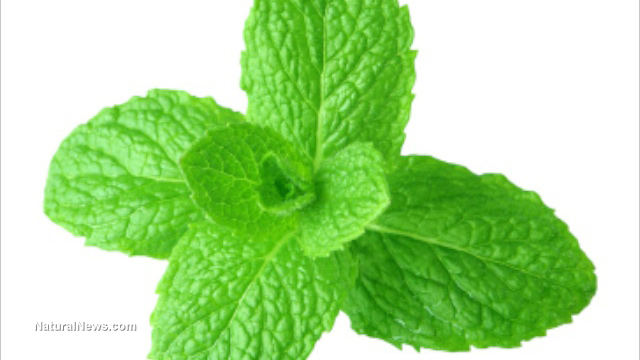 Peppermint oil