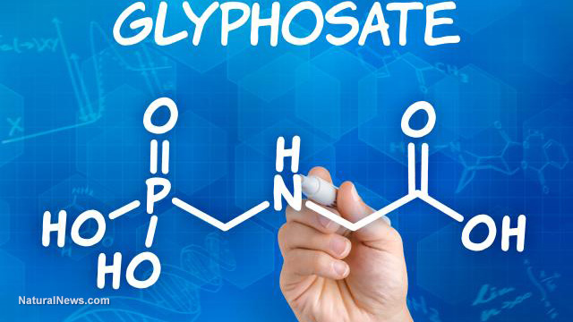 Glyphosate