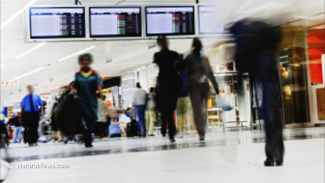 Airport workers