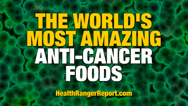Anti-cancer foods