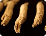 Ginseng