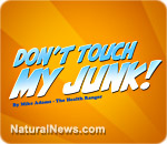 Don't Touch My Junk song