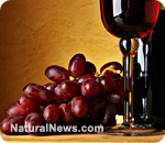 Resveratrol