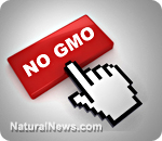 GMOs