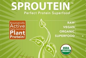 Vegan proteins