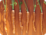 Carrots