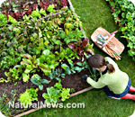 Edible park