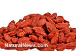 Goji berries