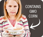 GMOs