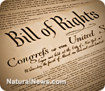 Bill of Rights