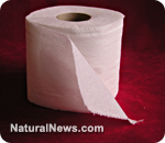 Toilet paper