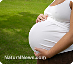 Prenatal nutrition