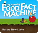 Amazing Food Fact Machine