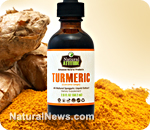 Turmeric