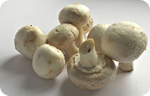 Medicinal mushrooms