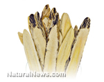 Astragalus