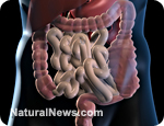 Colon healthy