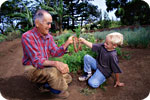 Gardening