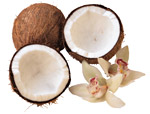 Coconut nectar