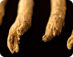 Ginseng