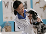 Veterinarians