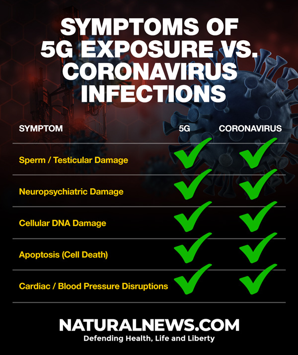 Hemoglobin-1-1 Can 5G exposure alter the structure and function of hemoglobin, causing coronavirus patients to die from oxygen deprivation? [your]NEWS