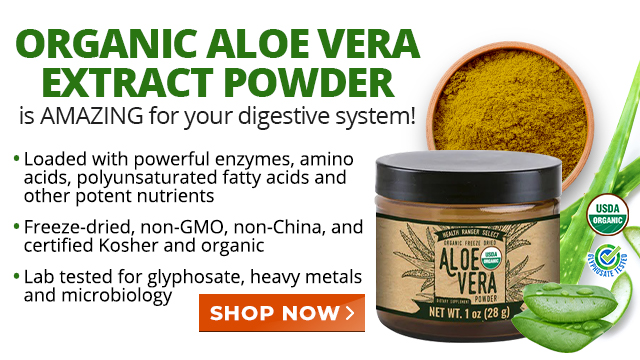 ORGANIC ALOE VERA EXTRACT POWDER is AMAZING for your digestive system! * Loaded with powerful enzymes, amino acids, polyunsaturated fatty acids and other potent nutrients * Freeze-dried, non-GMO, non-China, and certified Kosher and organic * Lab tested for glyphosate, heavy metals and microbiology 