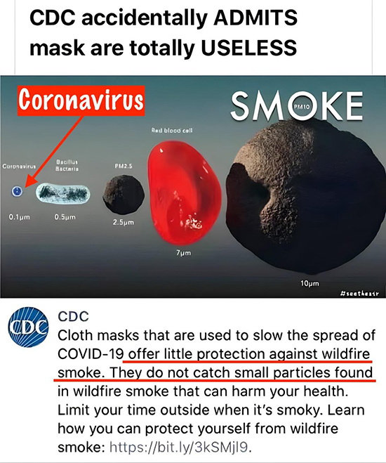 CDC-Admits-Masks-Useless-550.jpg