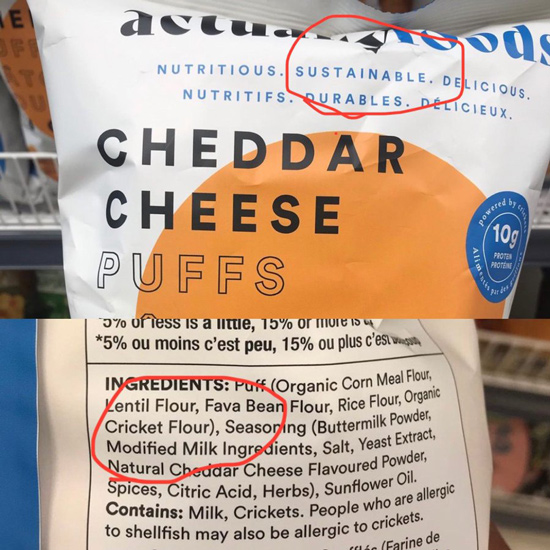 You WILL Eat the Bugs: Major Brands Quietly Slipping Insects Into Your Food